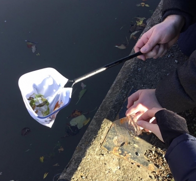 Chester Canal - Water Survey